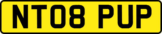 NT08PUP
