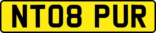 NT08PUR