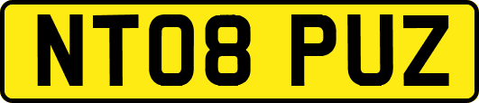 NT08PUZ