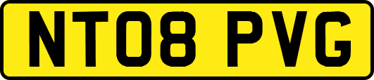 NT08PVG