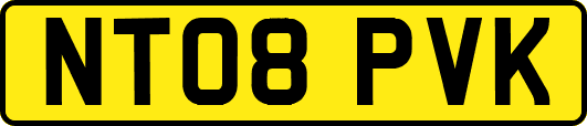 NT08PVK