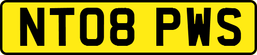 NT08PWS