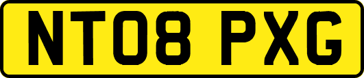 NT08PXG