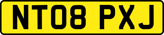 NT08PXJ