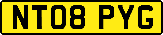 NT08PYG