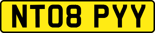 NT08PYY