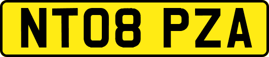 NT08PZA