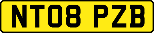 NT08PZB