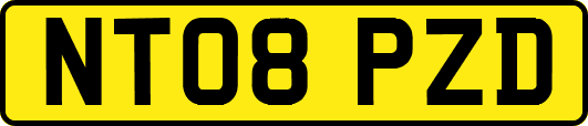 NT08PZD