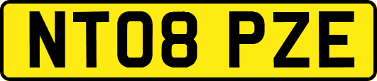NT08PZE