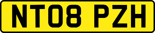 NT08PZH