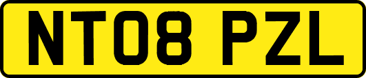 NT08PZL