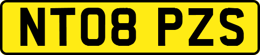 NT08PZS