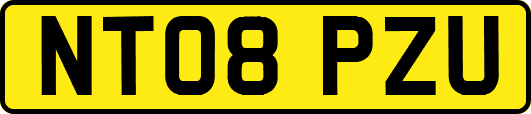 NT08PZU