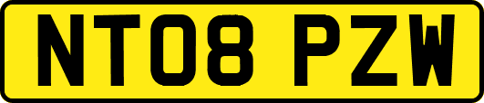 NT08PZW