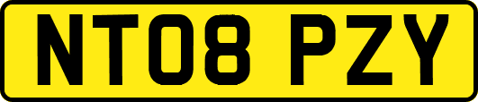 NT08PZY