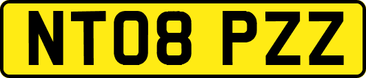 NT08PZZ