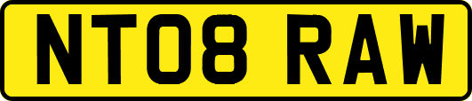NT08RAW