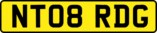 NT08RDG