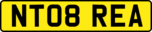 NT08REA