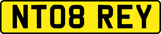 NT08REY