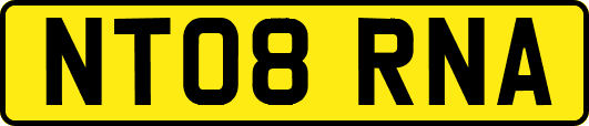 NT08RNA