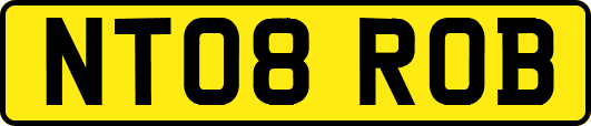 NT08ROB