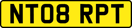NT08RPT