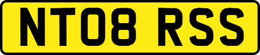 NT08RSS