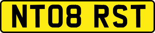 NT08RST