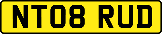 NT08RUD