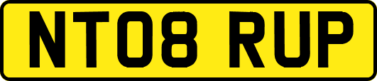 NT08RUP