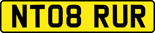 NT08RUR
