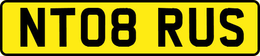 NT08RUS