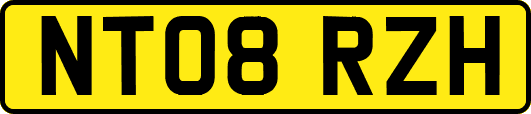 NT08RZH