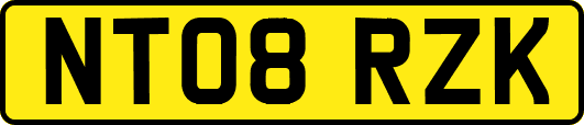 NT08RZK
