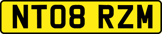 NT08RZM