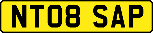 NT08SAP