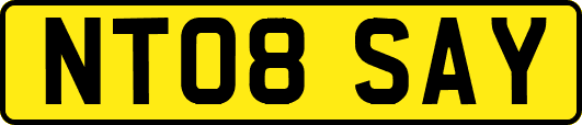 NT08SAY