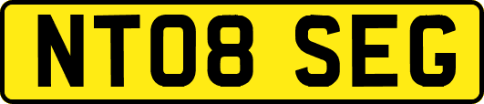 NT08SEG