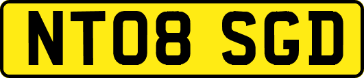 NT08SGD