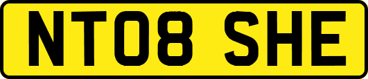 NT08SHE