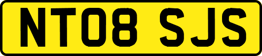 NT08SJS