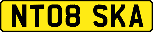 NT08SKA