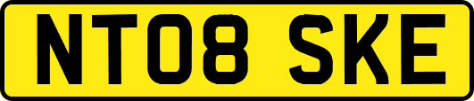 NT08SKE
