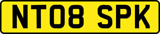 NT08SPK