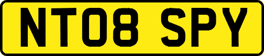 NT08SPY