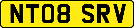 NT08SRV