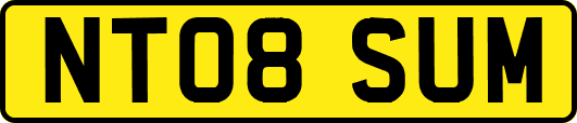 NT08SUM