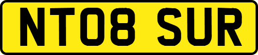 NT08SUR